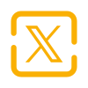 X icon